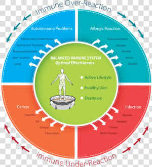 A Graphic Representation Of Immune Over Reaction And  HD Png Download