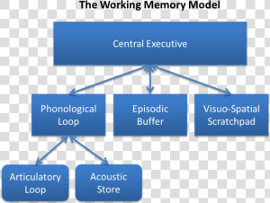 Baddeley And Hitch S Working Memory Model   Baddeley Hitch Model Of Working Memory  HD Png Download