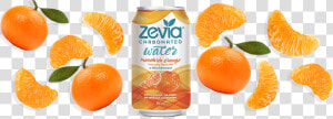 Zevia Sparkling Water  Blackberry   Rangpur  HD Png Download