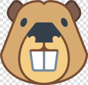 Animals Related To Beavers Png   Beaver Face Png  Transparent Png