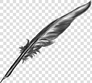 Transparent Fountain Pen Clipart   Feather Quill Pen Transparent Background  HD Png Download