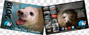 Now Half Price Our 2019 Calendar Is Now Only €5  HD Png Download