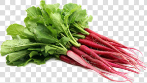 Transparent Radish Png   Long Thin Radishes  Png Download