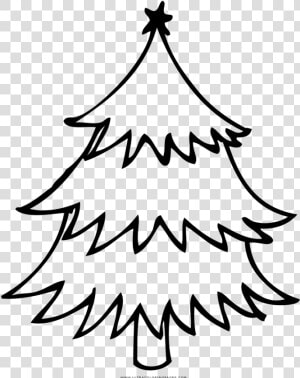 Árbol De Navidad Página Para Colorear   Christmas Tree  HD Png Download