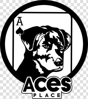 Ace Ace