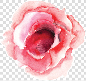 Single Rose Bloom   Png Water Color Single Flower  Transparent Png