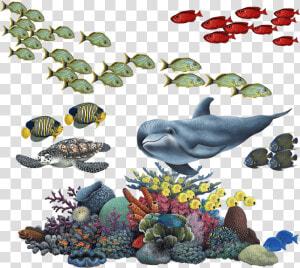 Coral Reef Tropical Fish Mural Wall Decal Sticker Combo   Coral Reef Transparent Background  HD Png Download