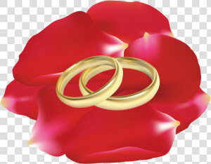 Download Wedding Rings In Rose Petals Clipart Png Photo   Rings Art Wedding Flower  Transparent Png