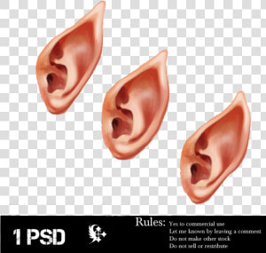 Com Elf Ear By Cela   Elvish Ear Png  Transparent Png