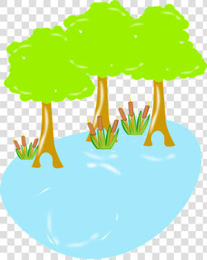 Swamp  Biology  Wildlife  Nature  Wetland  Water  Wild   Illustration  HD Png Download