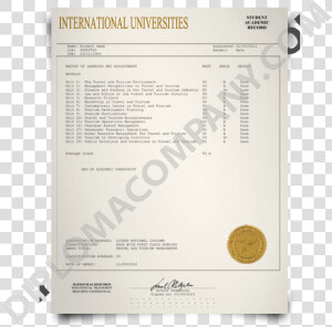 Fake International Transcript   Graphic Design Courses Transcript  HD Png Download