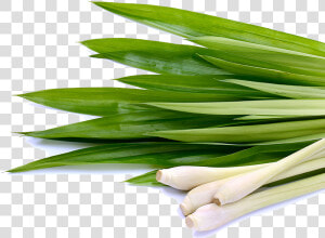 Thumb Image   Lemongrass Png  Transparent Png