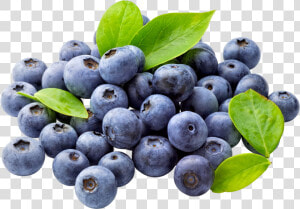 Blueberry Png Free Download   Blueberries Clip Art  Transparent Png