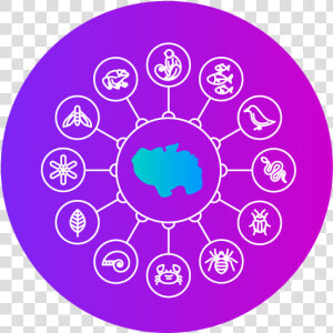 Biodiversity   Circle  HD Png Download