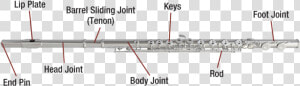 Flute Diagram Image   Diagram Of The Flute  HD Png Download