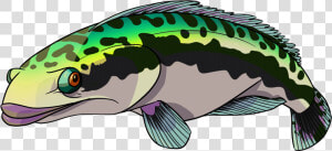 Giant Snake Head Fish Png   Png Download   Giant Snakehead Snakehead Fish Logo  Transparent Png