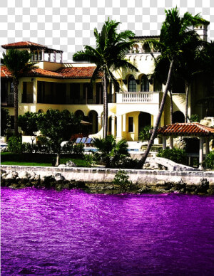 Purple Codeine Transparent Lean Double Cup Syrup Sizzurp   Mansion In Miami  HD Png Download