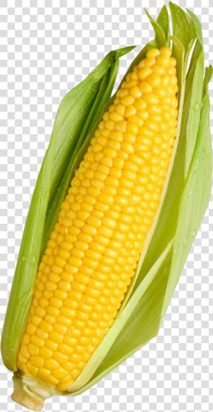 Corn Png Transparent Image   Yellow Corn  Png Download