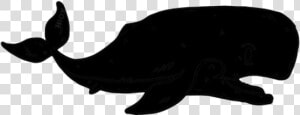 Transparent Whale Png Clipart Free Download   Whale  Png Download