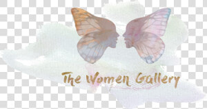 The Women Gallery   Pieridae  HD Png Download