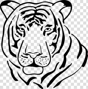 Black Vector White Tiger   Tiger Symmetry Worksheet  HD Png Download