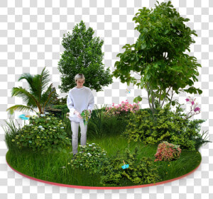 Next Gardens Lucas Teixeira Png Black And White Download   Transparent Guava Tree Png  Png Download