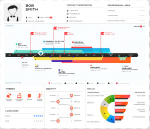 How To Make Digital Resume   Infographic Resume  HD Png Download