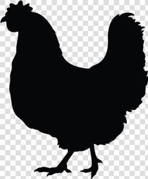 Simple Rooster Silhouette   Simple Chicken Black And White Clipart  HD Png Download