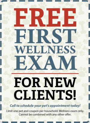 Free First Exam For New Clients   Wilderness Society  HD Png Download