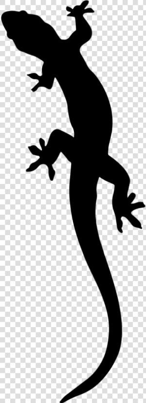 Salamander Silhouette Clipart   Png Download  Transparent Png