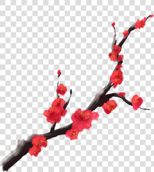 Transparent Cherry Blossom Branch Png   Red Cherry Blossom Flower Png  Png Download