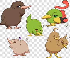 Collection Of Drawing High Quality Free   Kawaii Kiwi Bird  HD Png Download