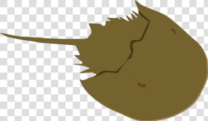 Head leaf jaw   Horseshoe Crab Clipart  HD Png Download