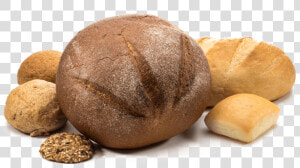 Knead Bakery   Sourdough  HD Png Download