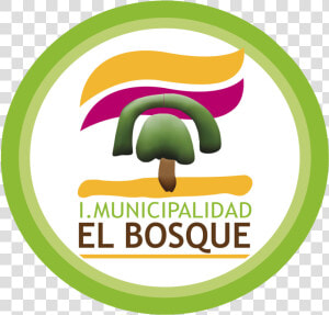 Municipalidad El Bosque  HD Png Download