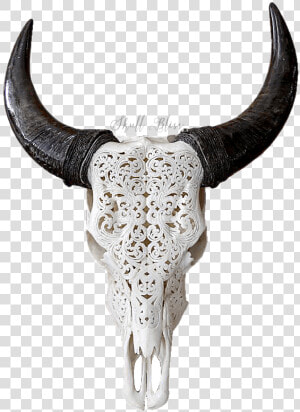 Texas Longhorn English Longhorn Skull Goat   Carved Cow Skull  HD Png Download