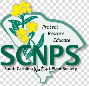 The South Carolina Native Plant Society   South Carolina Native Plant Society  HD Png Download