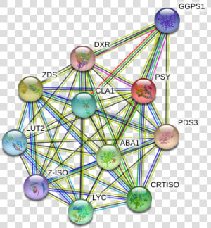 Psy Protein   Ferris Wheel  HD Png Download