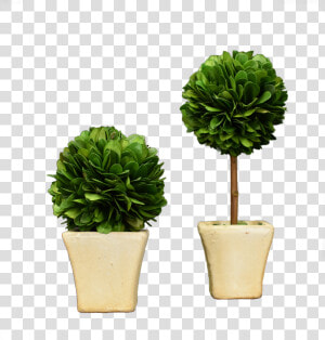 N   Flowerpot  HD Png Download