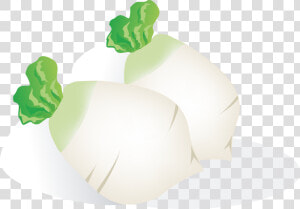 Radish Vegetables Food Free Picture   รูป หัว ไช เท้า การ์ตูน  HD Png Download