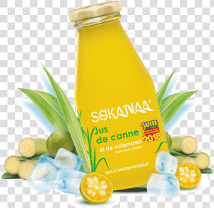 Bouteille Sokanaa   Sugar Cane Juice Bottles  HD Png Download