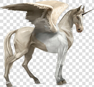  horse  alado  aladus  cavalo  asas  wings  mikah014   Akhal Tekini Howrse  HD Png Download