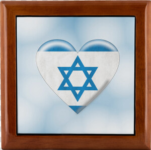 Jewish  Of God chai star Of David  Mogen David  Menorah    Israel Flag  HD Png Download