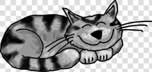 Cat Clipart Funny   Tabby Cat Cartoon Drawing  HD Png Download