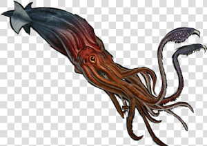 Ark Squ   Squid Ark Png  Transparent Png