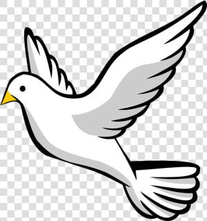 Dove Clipart Png   Dove Clipart  Transparent Png