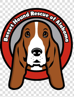 Basset Hounds  HD Png Download