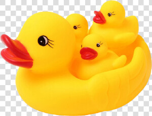 Classic Rubber Duck Family Larger Photo   Rubber Duck Toys  HD Png Download