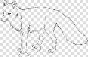 Wildlife Drawing Wolf   Line Drawing Wolf  HD Png Download