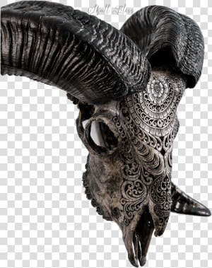 Carved Ram Skull   Bat  HD Png Download